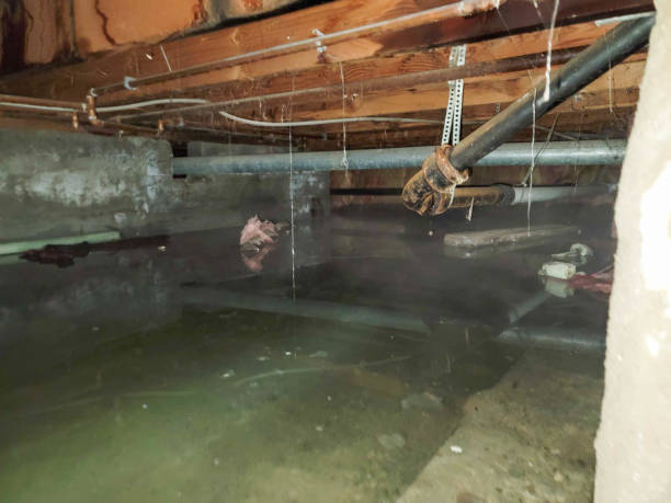 Best Water damage restoration near me  in Goldthwaite, TX