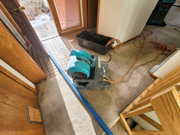 Reliable TX Water damage restoration Solutions