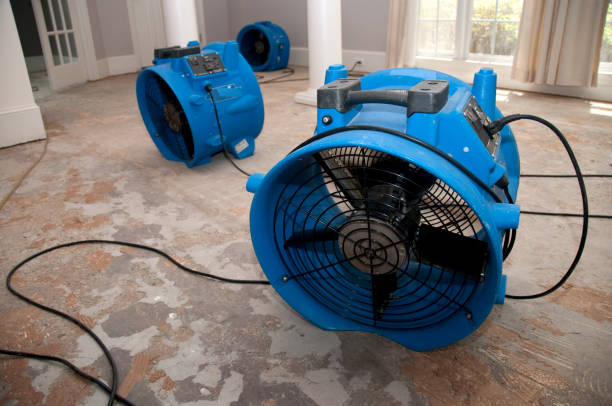  Goldthwaite, TX Water damage restoration Pros