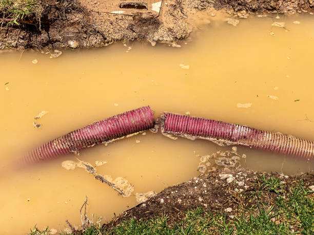 Best Carpet water damage restoration  in Goldthwaite, TX