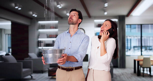 Best Ceiling water damage repair  in Goldthwaite, TX