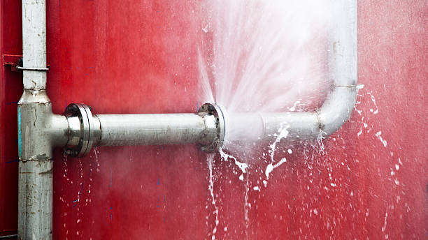Best Mold removal after water damage  in Goldthwaite, TX